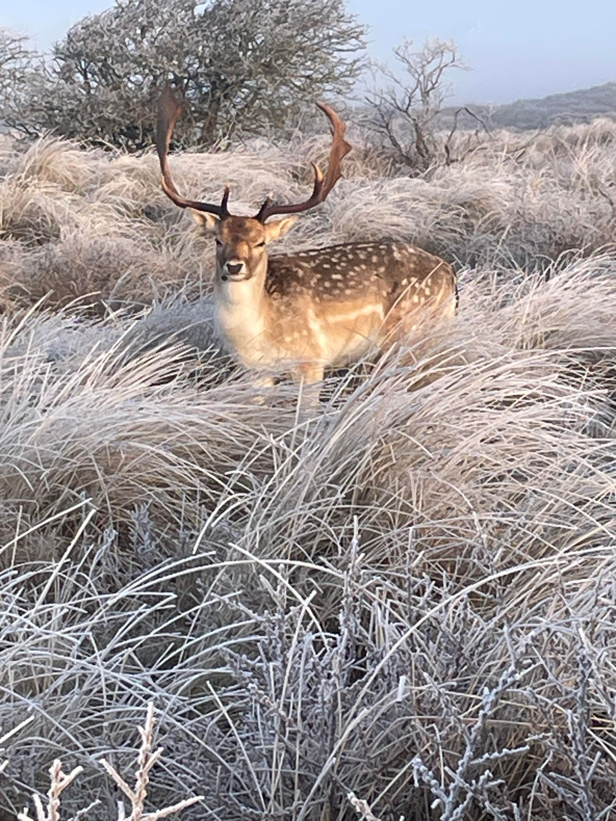 Foto 69 van Boulevard Paulus Loot 19-A