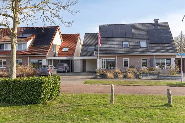 Foto 6 van Klaproos 4