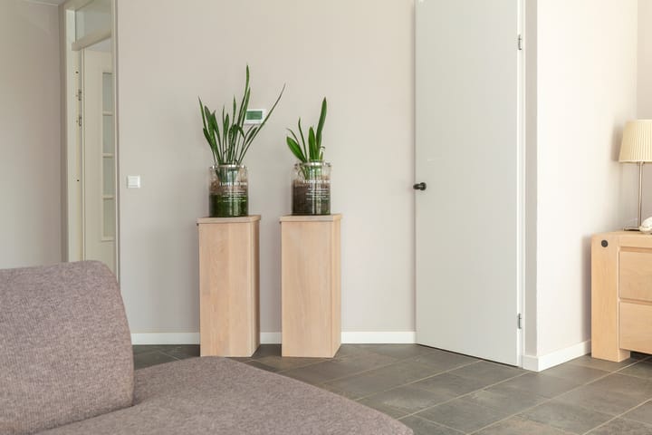 Foto 12 van Doornmeet 3