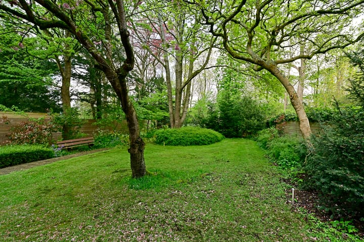 Foto 12 van Paviljoenslaan 7