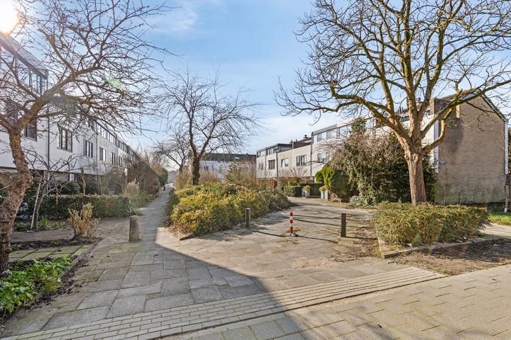 Foto 2 van Drakenstein 42