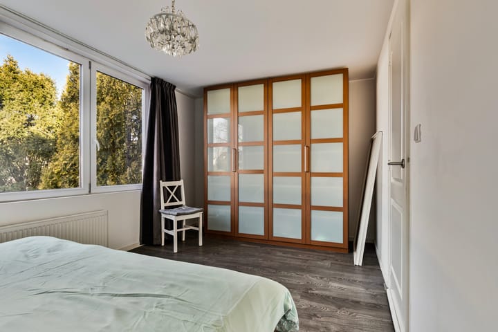 Foto 15 van Drakenstein 42