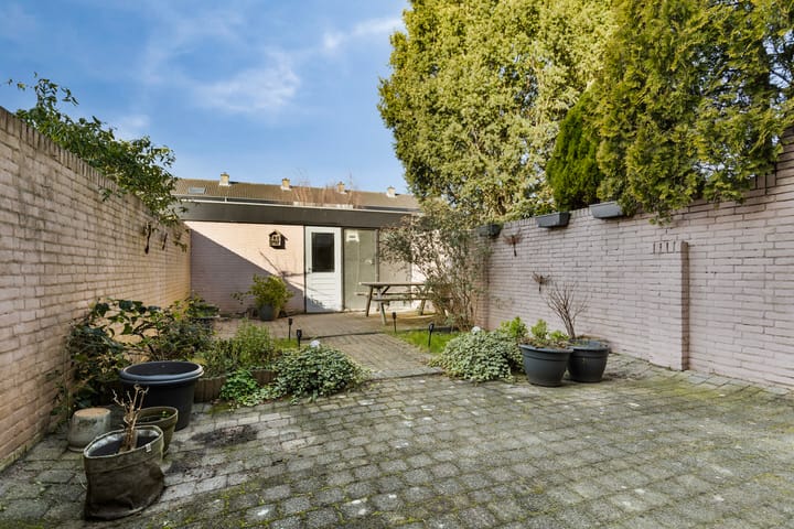 Foto 10 van Drakenstein 42