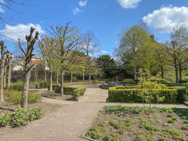 Foto 35 van Schoolstraat 1