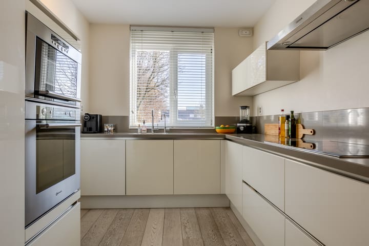 Foto 3 van Waterviolier 1-B