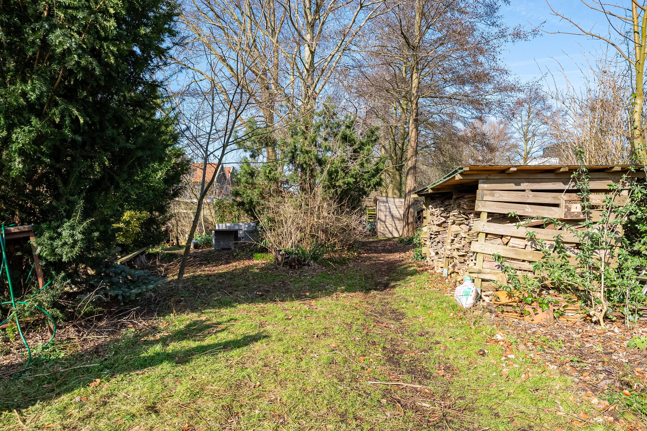 Photo 33 of Zuiddijk 413