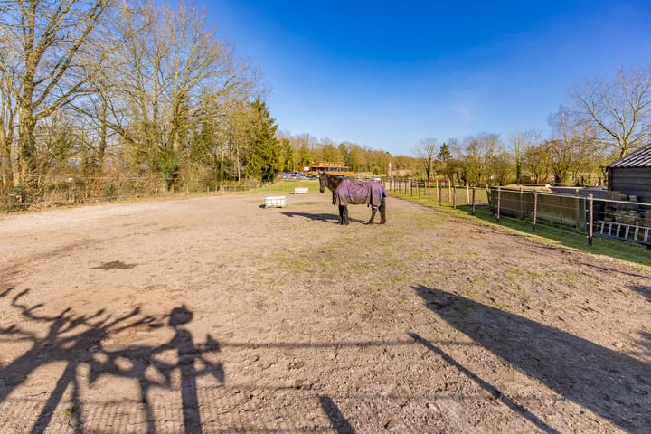 Foto 46 van Dorpsstraat 41