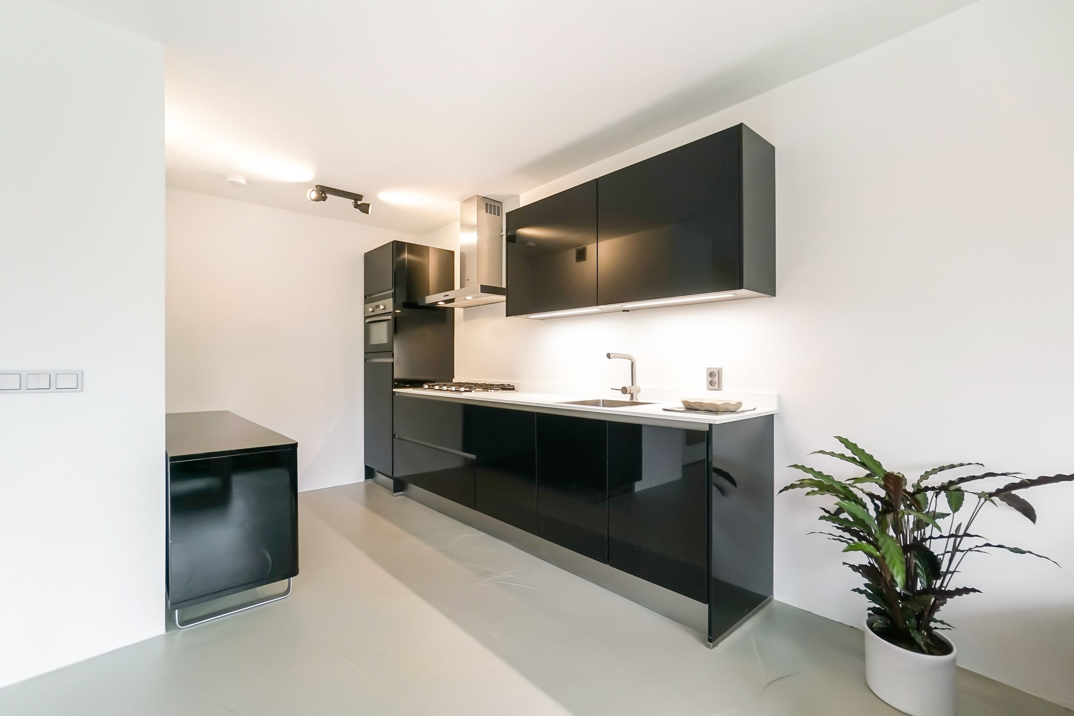 Foto 18 van Suze Groenewegplantsoen 60