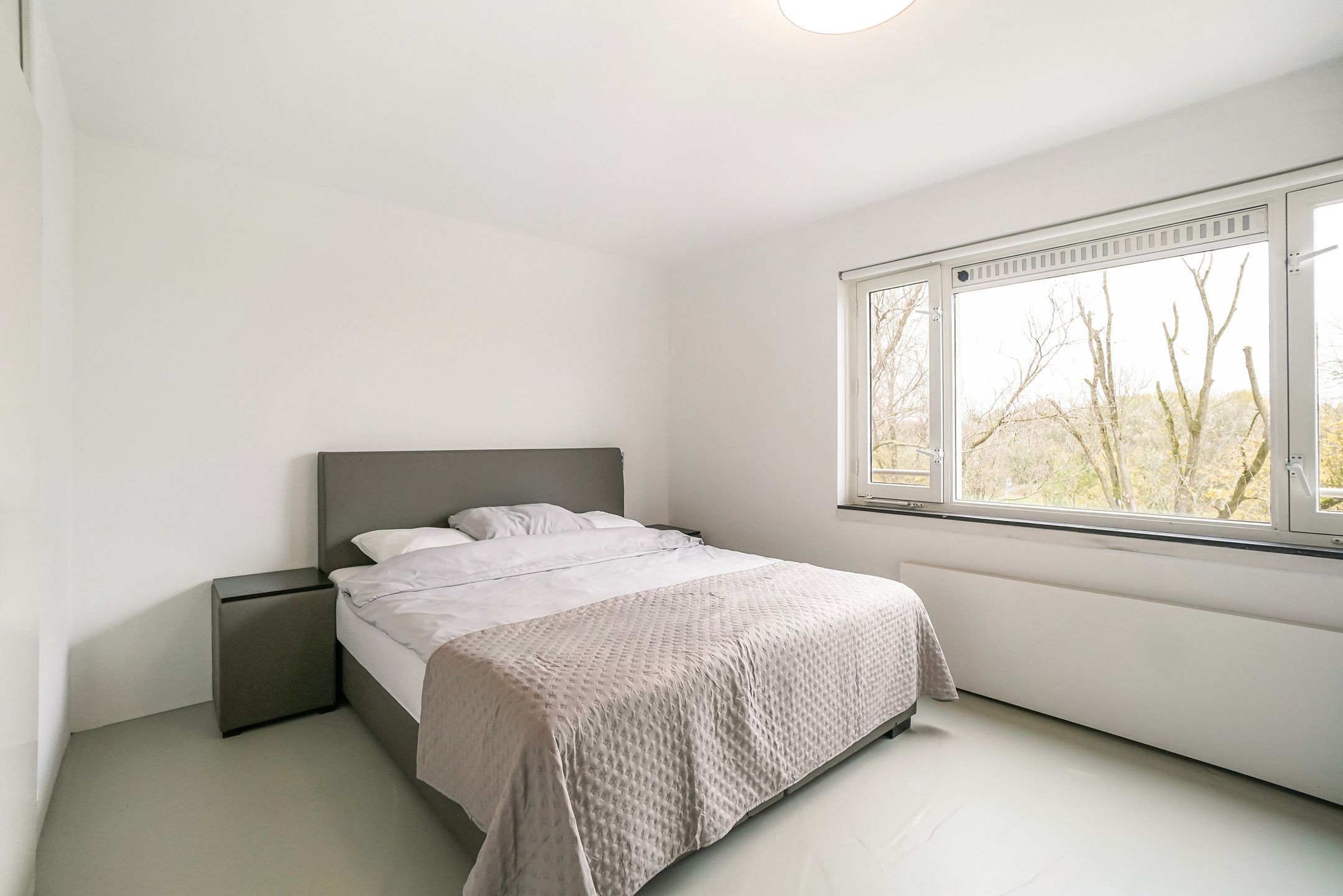 Foto 21 van Suze Groenewegplantsoen 60