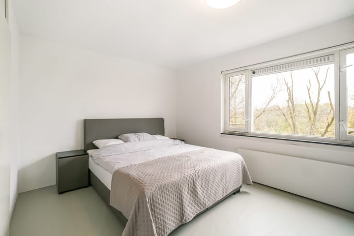 Foto 21 van Suze Groenewegplantsoen 60