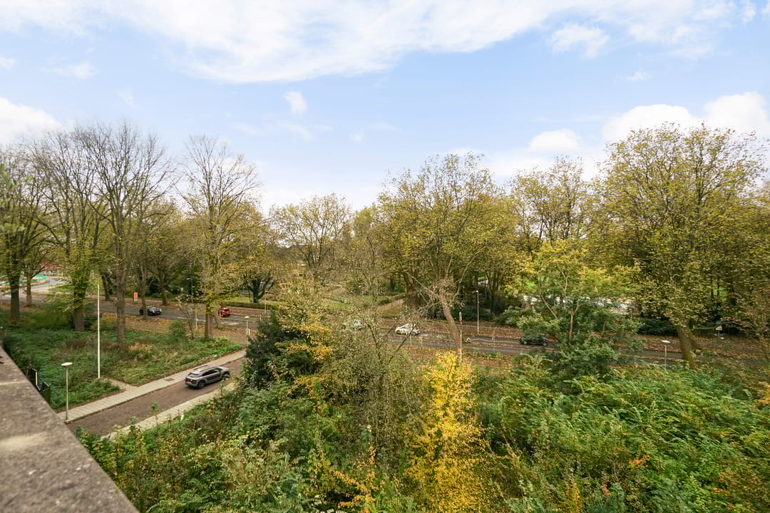 Foto 31 van Suze Groenewegplantsoen 60