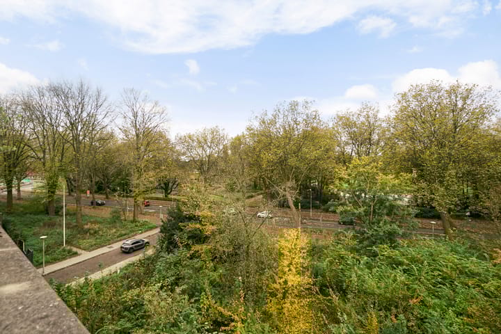 Foto 31 van Suze Groenewegplantsoen 60