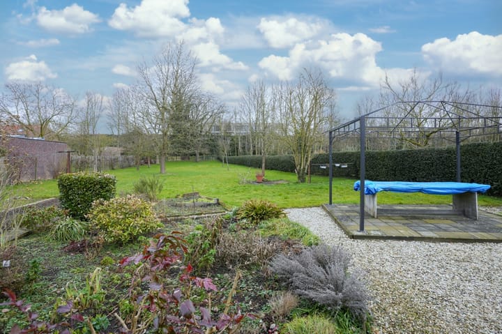 Photo 29 of Termaar 11