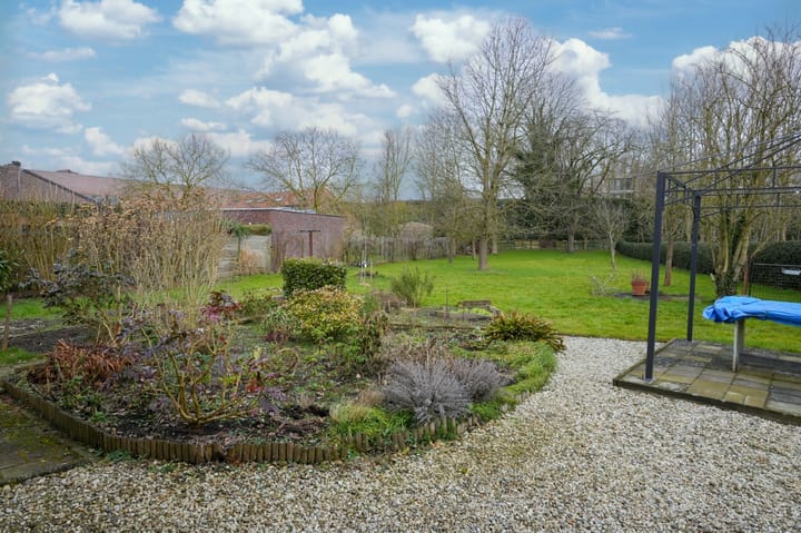 Photo 30 of Termaar 11