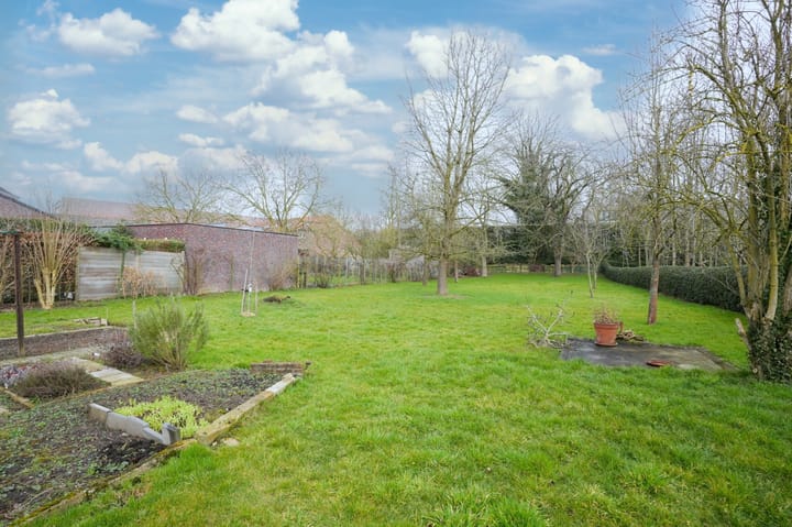 Photo 31 of Termaar 11