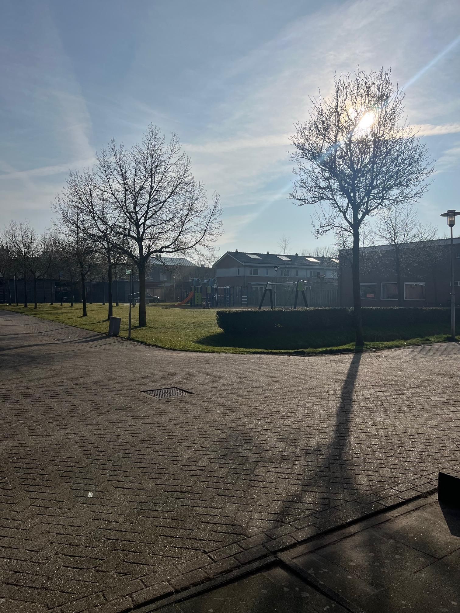 Foto 45 van Waterviolier 1-B