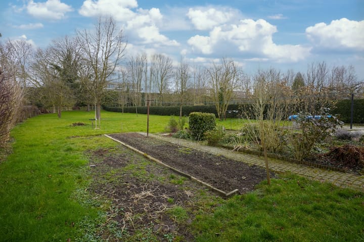 Photo 34 of Termaar 11