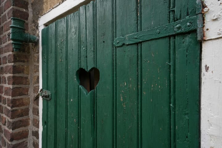 Photo 38 of Termaar 11