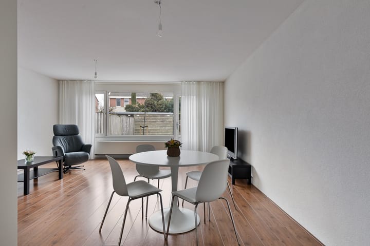 Photo 3 of Grauwe Gans 8