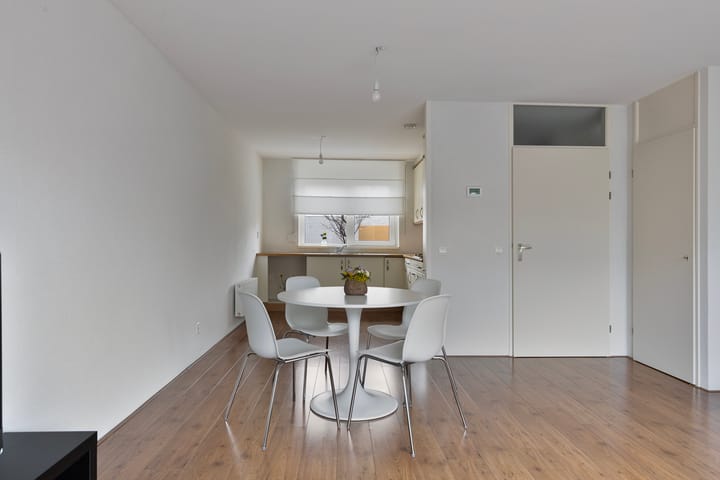 Photo 4 of Grauwe Gans 8