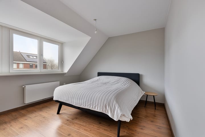 Photo 5 of Grauwe Gans 8