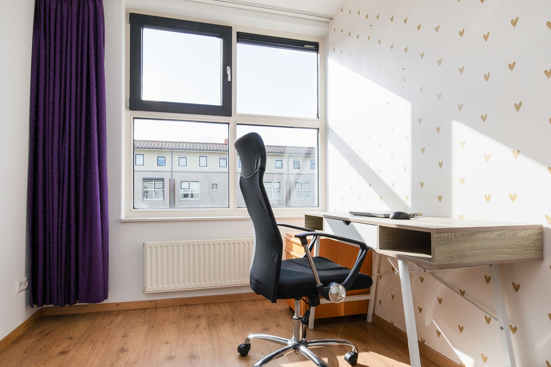 Photo 27 of Sarabande 24