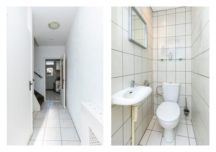 Foto 3 van Boterbloem 4