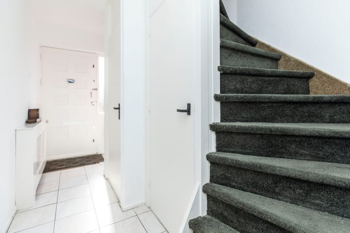 Foto 4 van Boterbloem 4