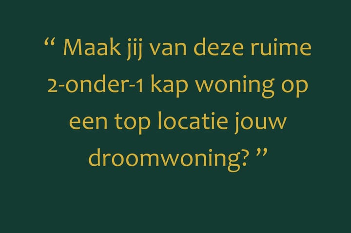 Foto 7 van Kempenaar 87