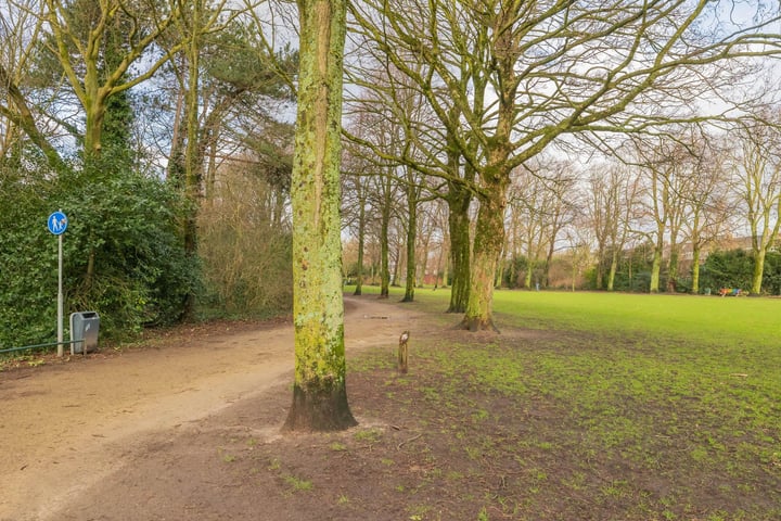 Bekijk foto 3 van Zaanenlaan 49