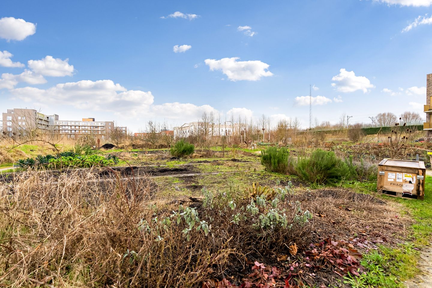 Foto 40 van Sumatraweg 328