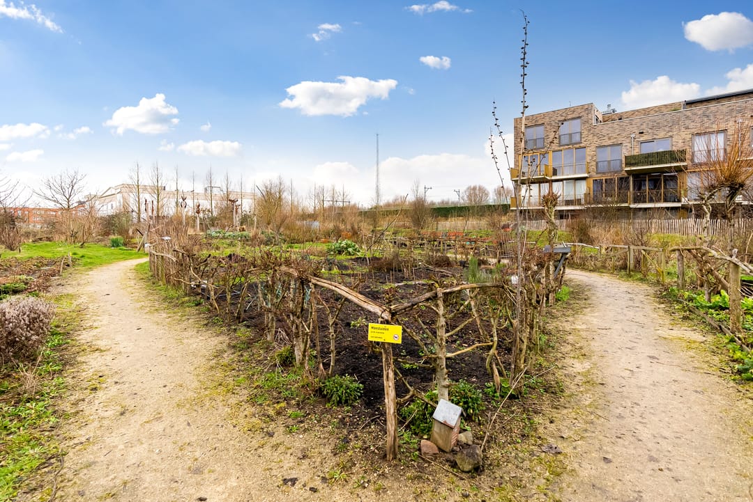 Foto 41 van Sumatraweg 328