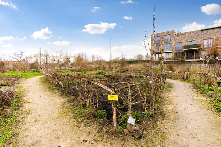 Foto 41 van Sumatraweg 328