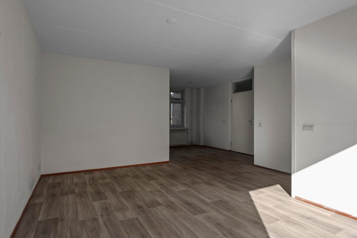 Foto 2 van Zeeaster 10