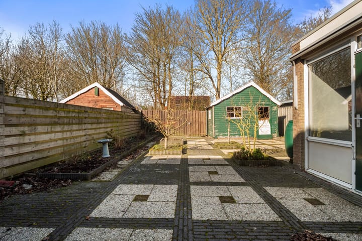 Foto 5 van Zeeaster 10