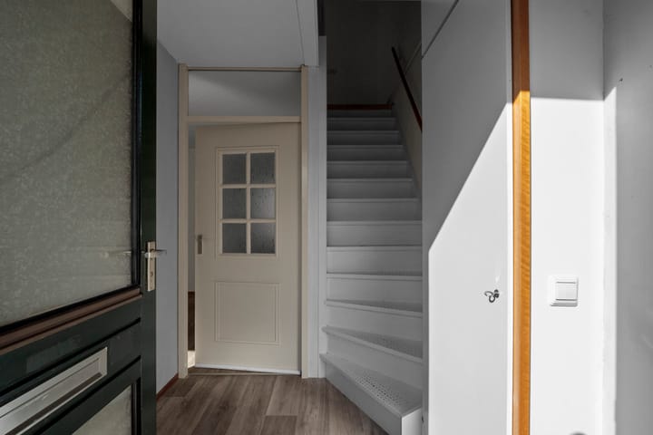 Foto 8 van Zeeaster 10