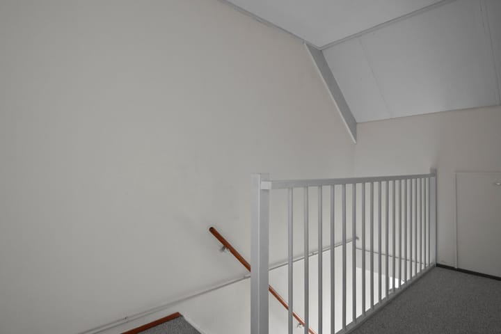 Foto 18 van Zeeaster 10