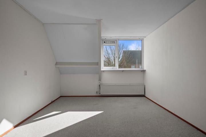 Foto 19 van Zeeaster 10