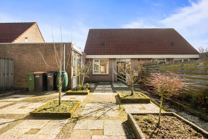 Foto 22 van Zeeaster 10