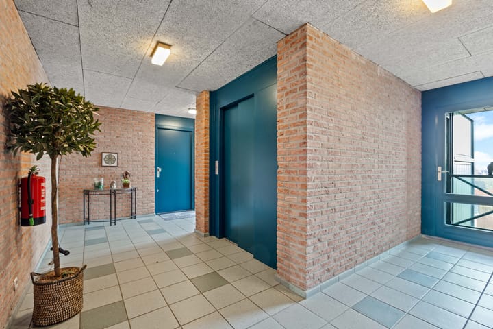 Foto 11 van Egelantier 36