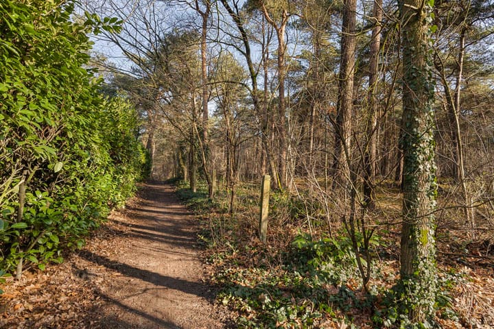 Foto 32 van Werstkant 17-R34