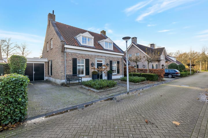 Foto 2 van Hermelijnvlinder 6