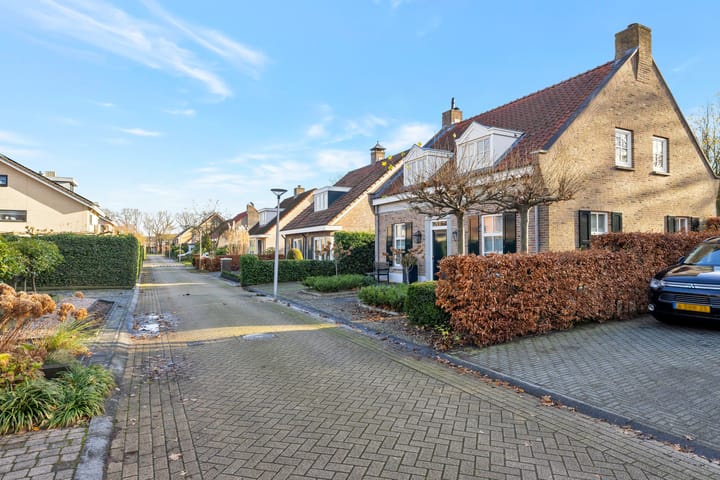 Foto 3 van Hermelijnvlinder 6