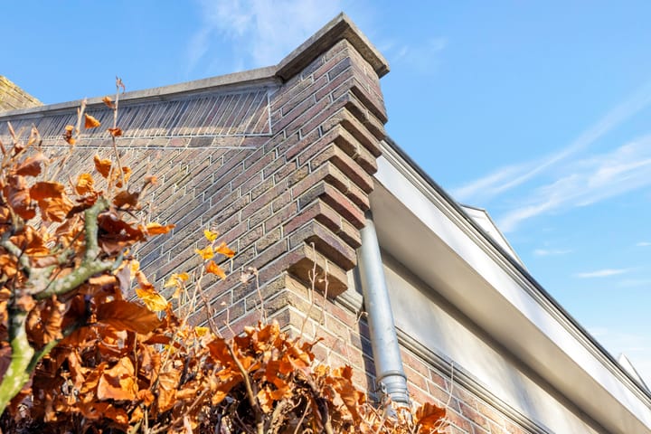 Foto 5 van Hermelijnvlinder 6