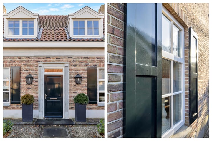 Foto 8 van Hermelijnvlinder 6