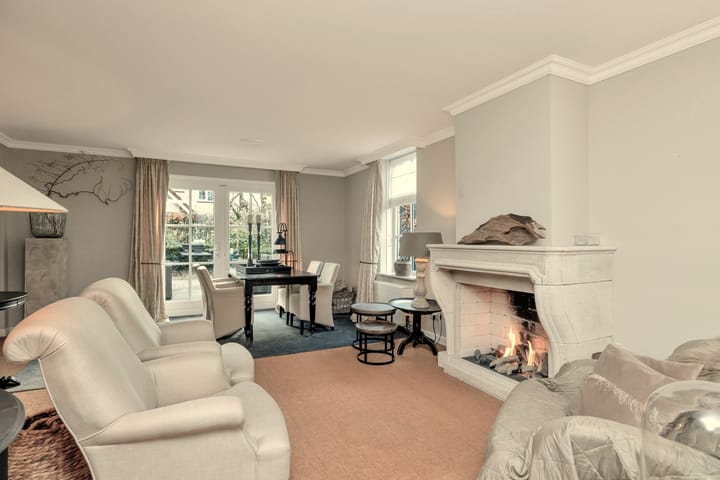 Foto 17 van Hermelijnvlinder 6