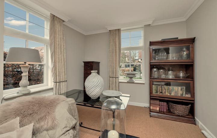 Foto 18 van Hermelijnvlinder 6