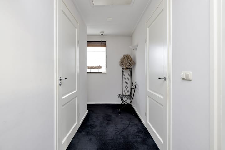 Foto 33 van Hermelijnvlinder 6