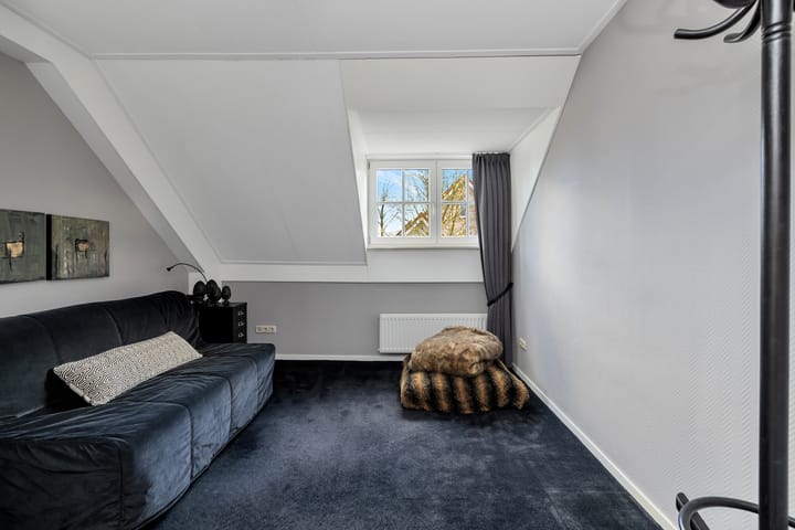 Foto 45 van Hermelijnvlinder 6