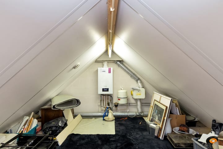 Foto 52 van Hermelijnvlinder 6